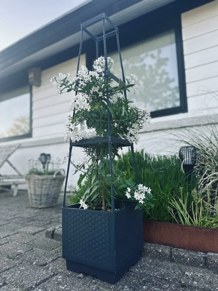 Plantetårn til tomater og klatreplanter