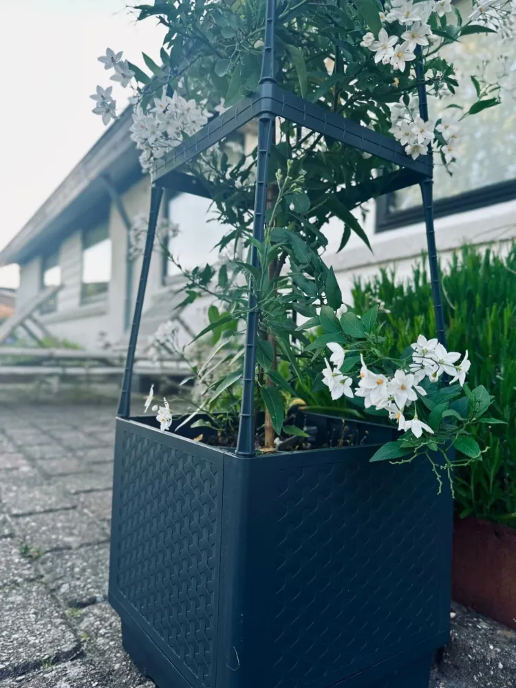Plantetårn til tomater og klatreplanter