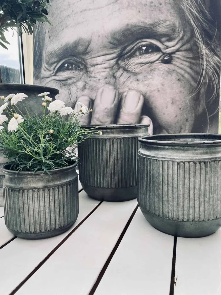 Sink potte med riller - Mellom
