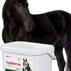 Hestefôr hud, pels og hover 50ml, tilskudd hest – Lab-v EquiDerma
