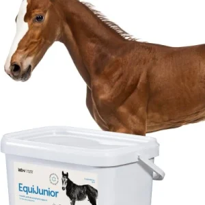 Hestetilskudd Føll Og Unghester, Vekst Og Ledd, 2000g – 25g Lab-v EquiJunior