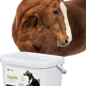 Kosttilskudd Hest Immunforsvar, Ledd Og Metabolisme 2000g EquiVit