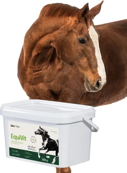 Kosttilskudd Hest Immunforsvar, Ledd Og Metabolisme 2000g EquiVit