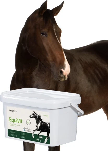 Kosttilskudd Hest Immunforsvar, Ledd Og Metabolisme 2000g EquiVit