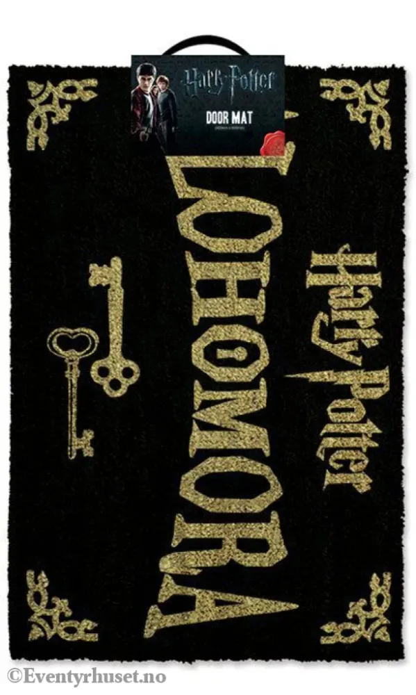 Harry Potter Doormat Alohomora 40 x 60 cm