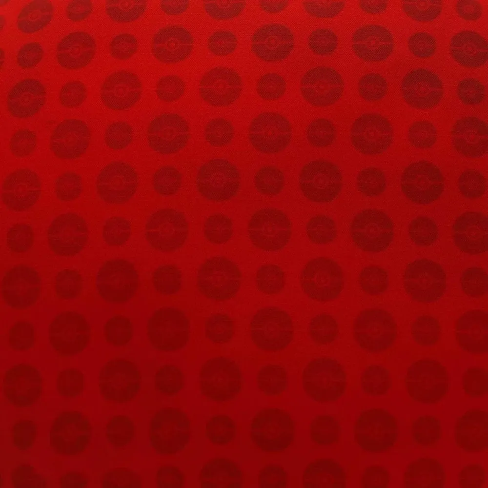 Pokemon Pute Pokeball