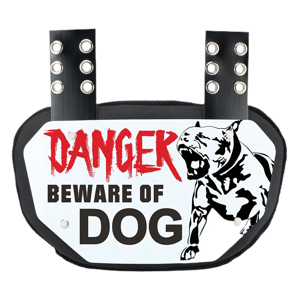 Reyrr Dawg Back plate
