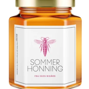 Sommer bie Repair Kit