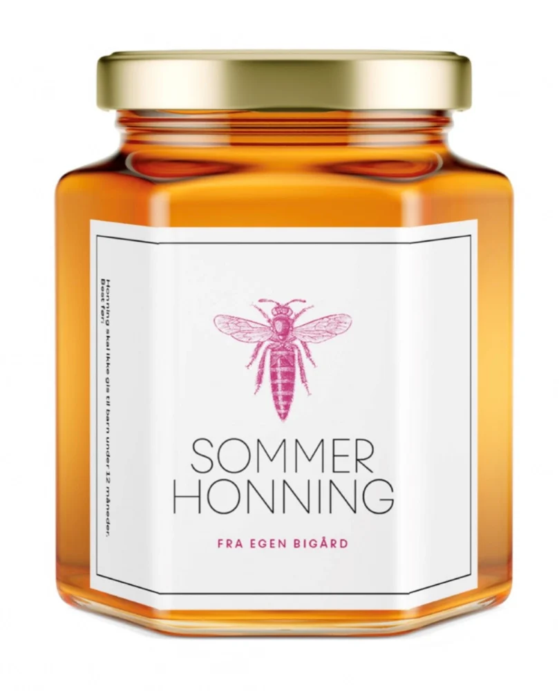 Sommer bie Repair Kit