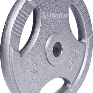 Vektskive 25kg Stål 30mm Med Grep InSPORTline Hamerton 12714