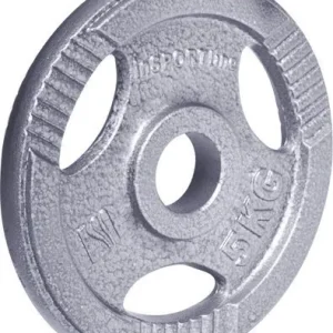 Vektskive 5kg 30mm stål med grep, til stang – inSPORTline Hamerton 12710