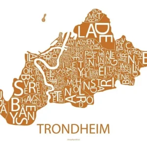 Trondheim kart (kobber kart)